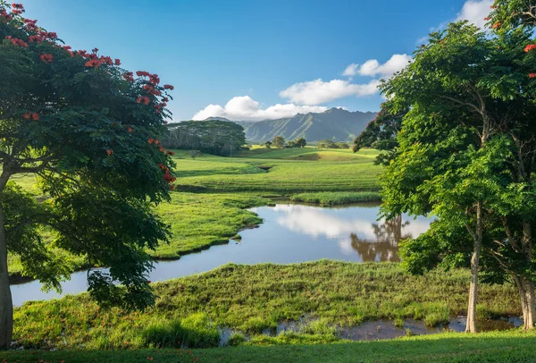 Feltűnő táj jura kerti sziget Kauai — Stock Fotó