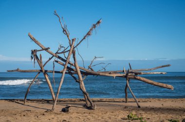 Sahilde dalgaların karaya attığı odun yapısını arkasında çerçeveli sörfçü