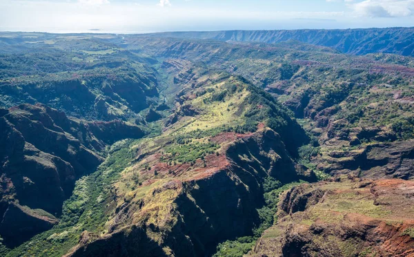 Trädgård kauaiensis från helikoptertur — Stockfoto