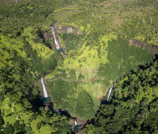 Trädgård kauaiensis från helikoptertur — Stockfoto