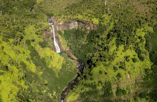 Trädgård kauaiensis från helikoptertur — Stockfoto