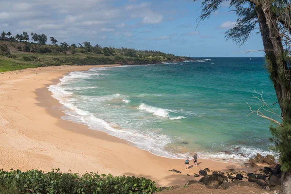 Panoráma a Kauai szamár Beach — Stock Fotó