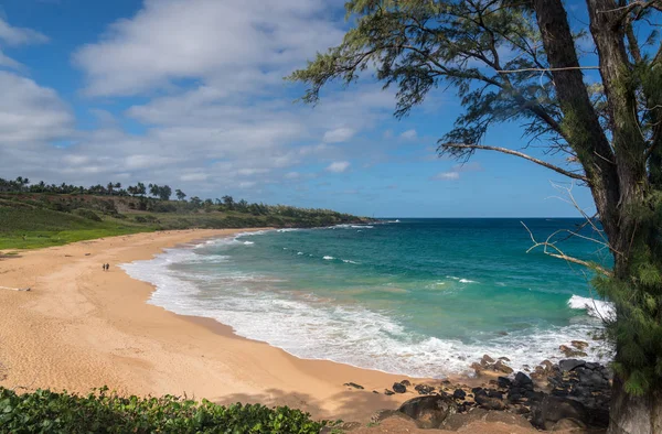 Панорама осел пляжі на острові Kauai — стокове фото