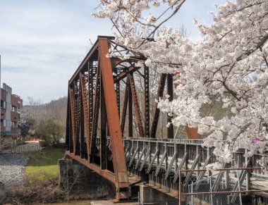Steel girder bridge carries the bike walking trail over Deckers Creek Morgantown clipart