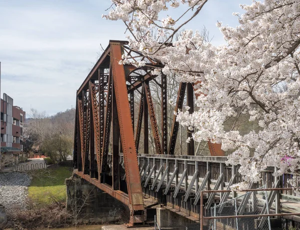 Puente de viga de acero lleva el sendero para caminar en bicicleta sobre Deckers Creek Morgantown —  Fotos de Stock