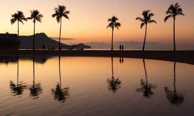 Waikiki Hawaii palmiye ağaçları ile okyanus üzerinde gündoğumu