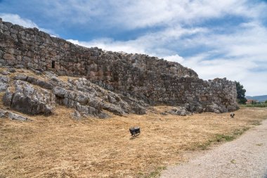 Peloponnese Yunanistan 'da Tiryns antik Yunan tarihi site