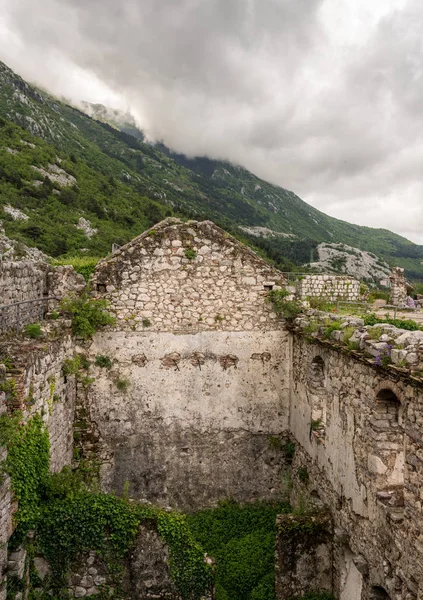 Kotor fästning på bergssidan ovanför gamla stan i Montenegro — Stockfoto