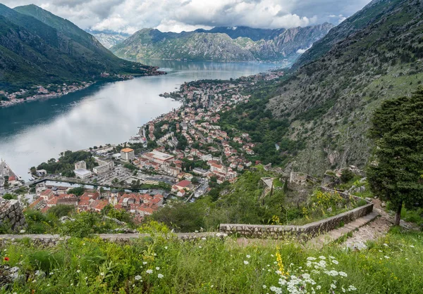 Vista de cima Cidade Velha de Kotor em Montenegro — Fotografia de Stock