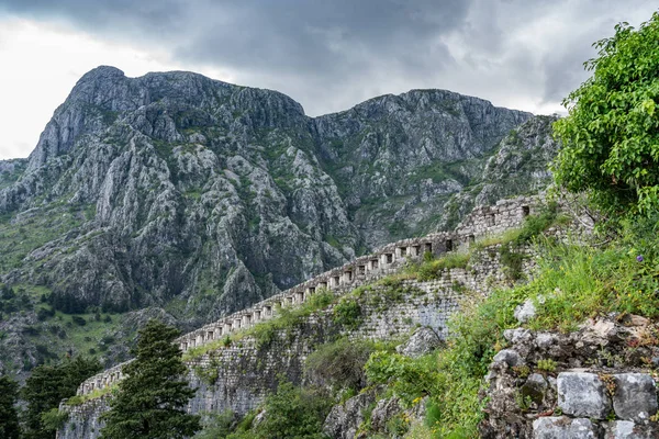 Karadağ'da eski kentin üzerindeki dağ yamacında Kotor Kalesi — Stok fotoğraf