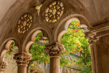 Dubrovnik 'teki Fransisken Manastırı ve Müzesi