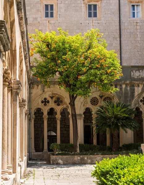 Franciscan kloster och museum i Dubrovnik gamla stan — Stockfoto