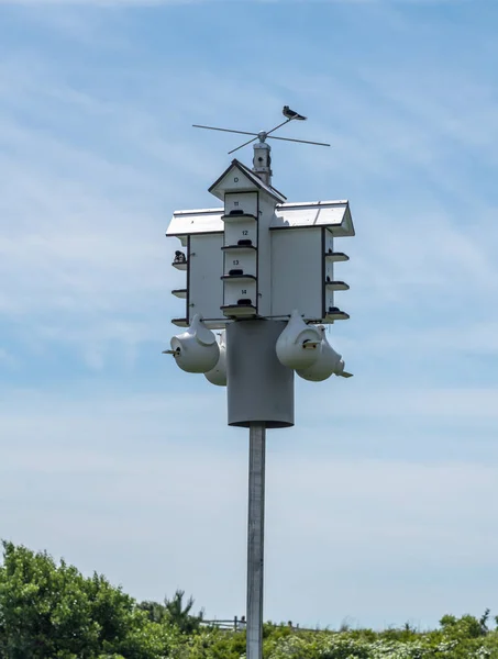 Multiple occupancy bird house or condo in state park — Stock Photo, Image