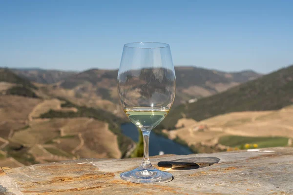 Verre de vin blanc au-dessus de la vallée du Douro au Portugal — Photo