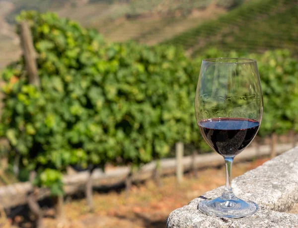 Glas rött vin ovanför dalen vid floden Douro i Portugal — Stockfoto