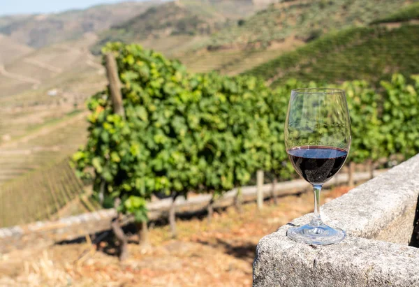 Glas rött vin ovanför dalen vid floden Douro i Portugal — Stockfoto