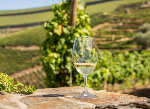 Copa de vino blanco sobre el valle del río Duero en Portugal — Foto de Stock