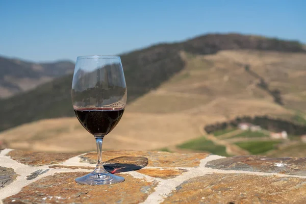 Verre de vin rouge au-dessus de la vallée du Douro au Portugal — Photo