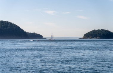 Anacortes WA açıklarındaki San Juan adalarında iki küçük ada arasında sakin denizlerde yelken açan yat.