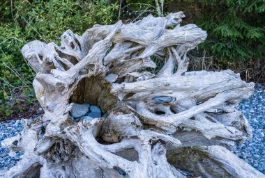 Washington eyaletinin Whidbey Adası 'ndaki Aldatma Geçidi' nde sürükleniyordu.