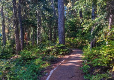 Easy accessible paved trail to the clear water of Rainy Lake in North Cascades National Park in WA