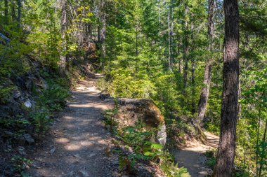Switchbacks on the Thunder Knob trail by Diablo Lake in North Cascades National Park