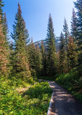 Easy accessible paved trail to the clear water of Rainy Lake in North Cascades National Park in WA