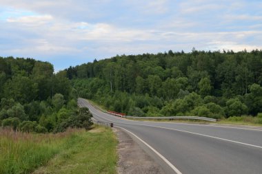 Yaz, yatay, bir kırsal yol ve orman