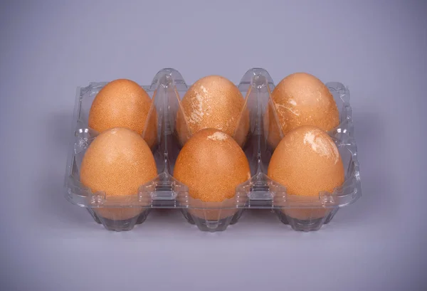 Guinea fowl eggs in plastic packaging — Stock Photo, Image