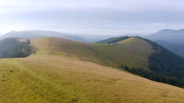 Güneşli bir günde Alp otlağındaki bir İHA 'nın muhteşem görüntüleri. UHD 4k video ile çekildi.