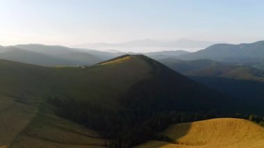Güneşli bir günde Alp otlağındaki bir İHA 'nın muhteşem görüntüleri. UHD 4k video ile çekildi.