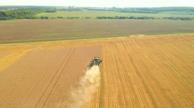 Drone sanayi üzerinde uçuyor tarım alanındaki hasatçıları buğday hasat ederek birleştiriyor. UHD 4k video ile çekildi.