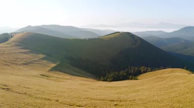 Güneşli bir günde Alp otlağındaki bir İHA 'nın muhteşem görüntüleri. UHD 4k video ile çekildi.
