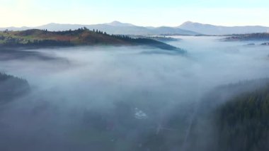 Muhteşem kırsal alan yoğun sabah sisi ile kaplıdır. UHD 4k video ile çekildi.