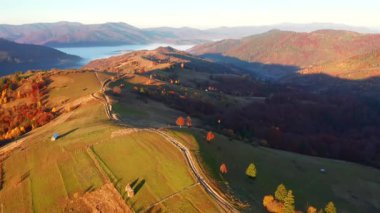 Yuvarlanan tepelerin sabah ışığında muhteşem sonbahar sahnesi. 4k, İHA videosu ile çekilmiştir..