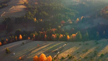 Sabah ışığında yuvarlanan tepelerin sonbahar sahnesi. 4k, İHA videosu ile çekilmiştir..