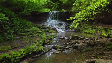 Bir kuadkopter, egzotik bir şelalenin üzerinde ağaçlık yeşil bir kanyonda uçar. UHD 4k video ile çekildi.