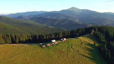 Güneşli bir günde yeşil alp otlaklarının hava görüntüleri. UHD 4k video ile çekildi.