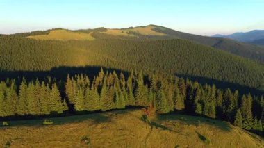 Kuş bakışı vahşi dağların muhteşem görüntüleri var. Carpathian Ulusal Doğa Parkı, Ukrayna.