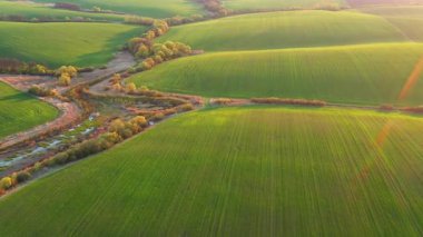 Zirai bölgenin yuvarlanan tepelerinin muhteşem hava görüntüleri. UHD 4k ile çekilen İHA videosu.