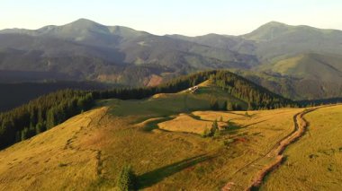Güneşli bir günde yeşil alp otlaklarının hava görüntüleri. UHD 4k video ile çekildi.