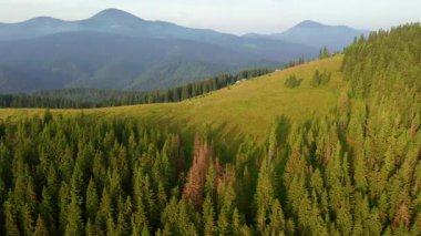 Kuş bakışı vahşi dağların muhteşem görüntüleri var. Carpathian Ulusal Doğa Parkı, Ukrayna.