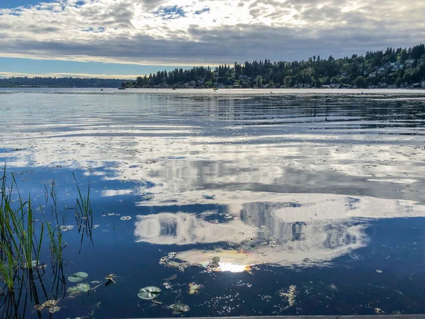 Juanita Bay Park Primarily Natural Preserve Surrounding One Lake Washington — Stock Photo, Image