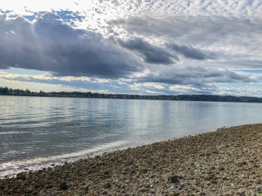 Burfoot Park, Thurston County, Washington 'da bulunan bir parktır. Burfoot Parkı, Puget Sound Körfezi 'nin Budd Körfezi' nde 1,100 fit tuzlu su plajı olan 50 dönümlük bir araziye sahip..