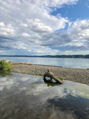 Burfoot Park, Thurston County, Washington 'da bulunan bir parktır. Burfoot Parkı, Puget Sound Körfezi 'nin Budd Körfezi' nde 1,100 fit tuzlu su plajı olan 50 dönümlük bir araziye sahip..