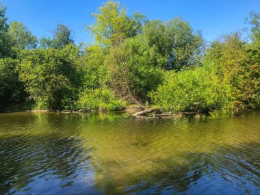 Sammamish Gölü Eyalet Parkı, ABD 'nin Washington eyaletinin King County kentinde Sammamish Gölü' nün güney ucunda yer alan bir parktır. Park Washington Eyalet Park Sistemi tarafından işletilmektedir..