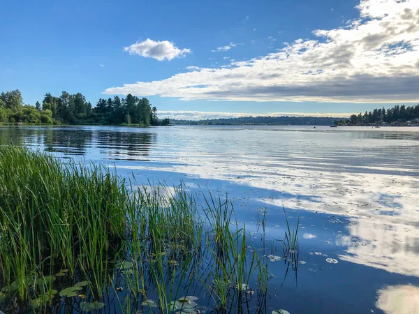 Juanita Bay Parkは ワシントン湖で最後の自然保護区の1つである フォーブスクリーク湿地 フアニタビーチ フアニタ湾の動植物や機能の景色があるフアニタ湾公園 — ストック写真