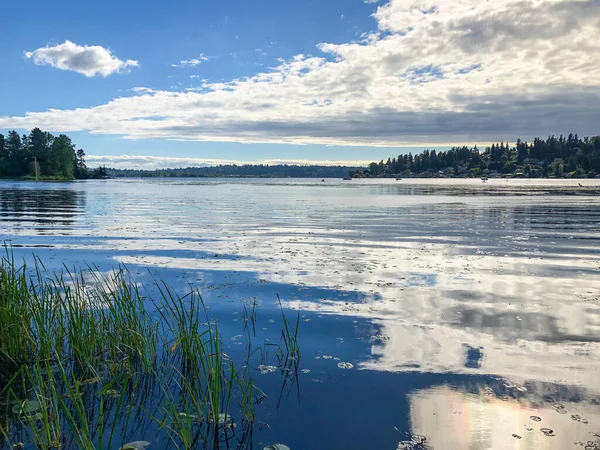 Juanita Bay Park Primarily Natural Preserve Surrounding One Lake Washington — Stock Photo, Image