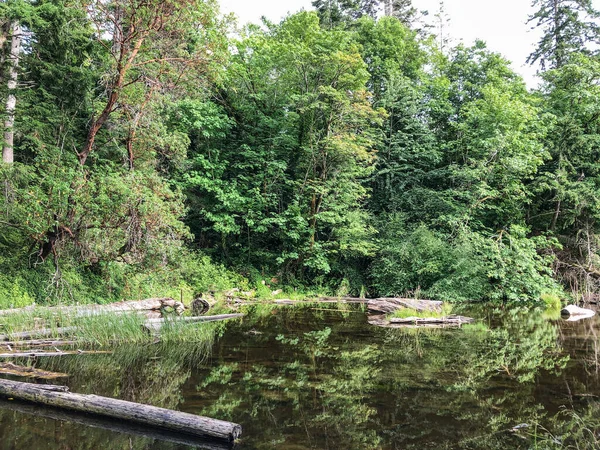 Burfoot Park Είναι Ένα Δημόσιο Πάρκο Που Βρίσκεται Στην Thurston — Φωτογραφία Αρχείου