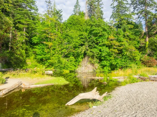 Burfoot Park Est Parc Public Situé Dans Comté Thurston Dans — Photo